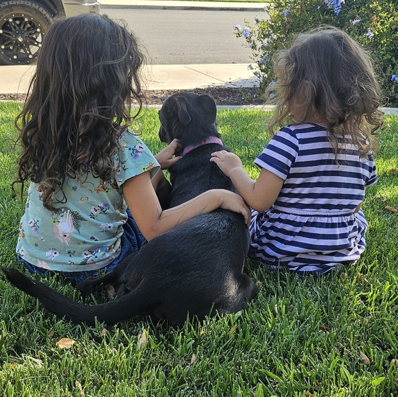 Meet your Posher, Nicolette - Picture 2 of 2